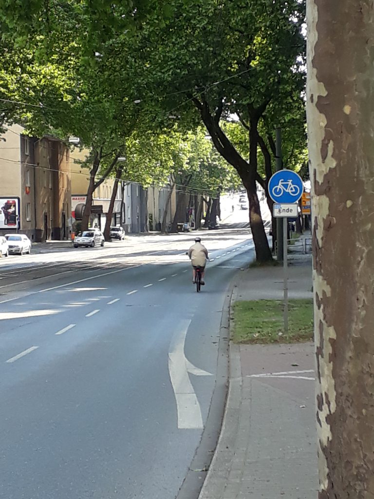 Strasse mit dem Ende eines Fahrradwegs. Person in Beige fährt hinten auf der Strasse unter grünen Bäumen.
